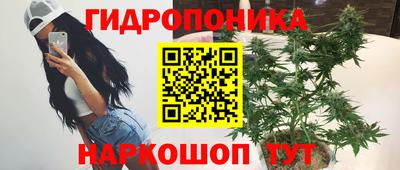 гашик Бузулук
