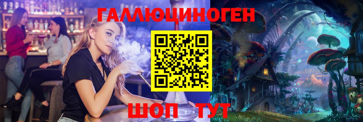 Псилоцибиновые грибы Psilocybe Усолье-Сибирское